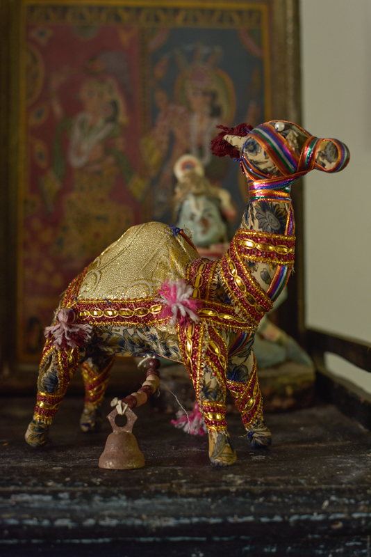 _DSC6624 Vintage Indian Camel