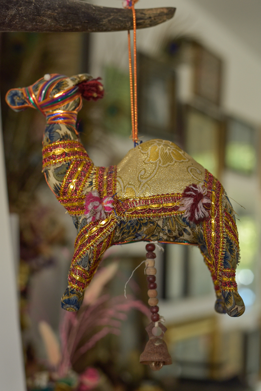 _DSC6626 Vintage Indian Camel