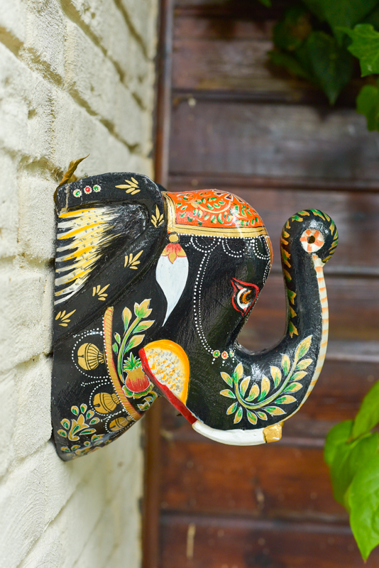 _DSC6734 Happy Elephant